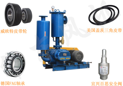 魯氏真空泵配件 魯氏真空泵